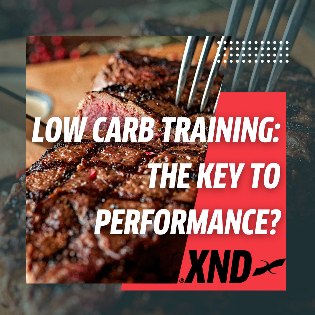 Low Carb training / Training Fasted: Key to endurance performance?