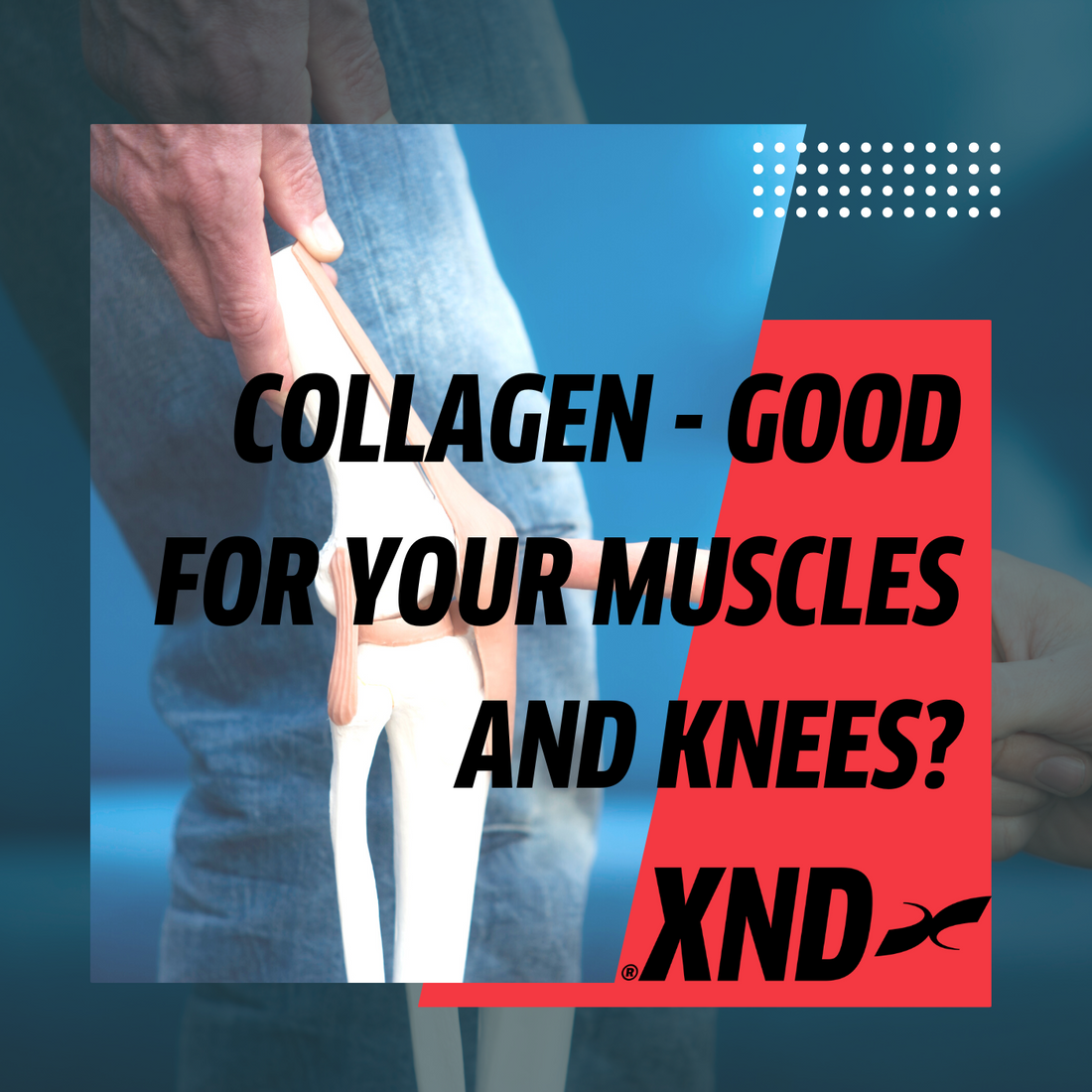 Collagen - good for your muscles and knees?