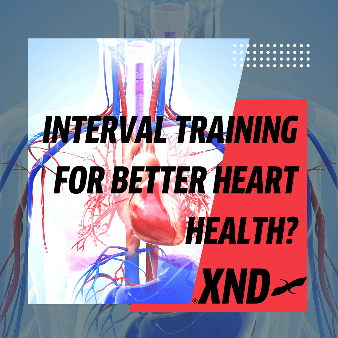 Interval training for better cardiovascular health