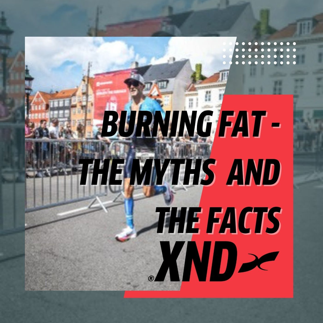 Burning Fat – the myths and the facts around fat utilisation