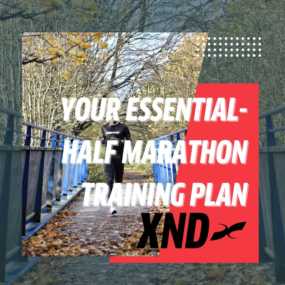 Your Essential - Busy half marathon Training Plan