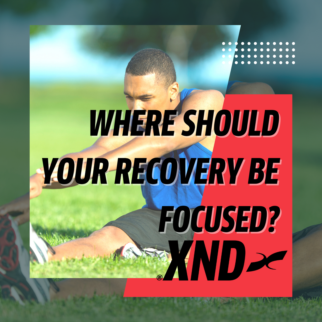 Where should your recovery focus be?