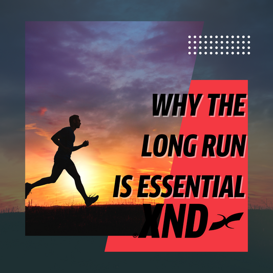 Why the long run is essential