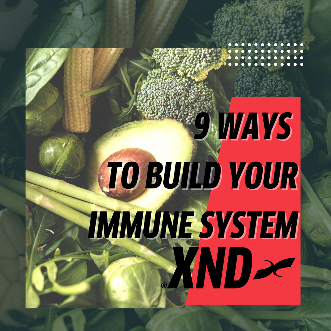 9 Ways To Build Your Immune System