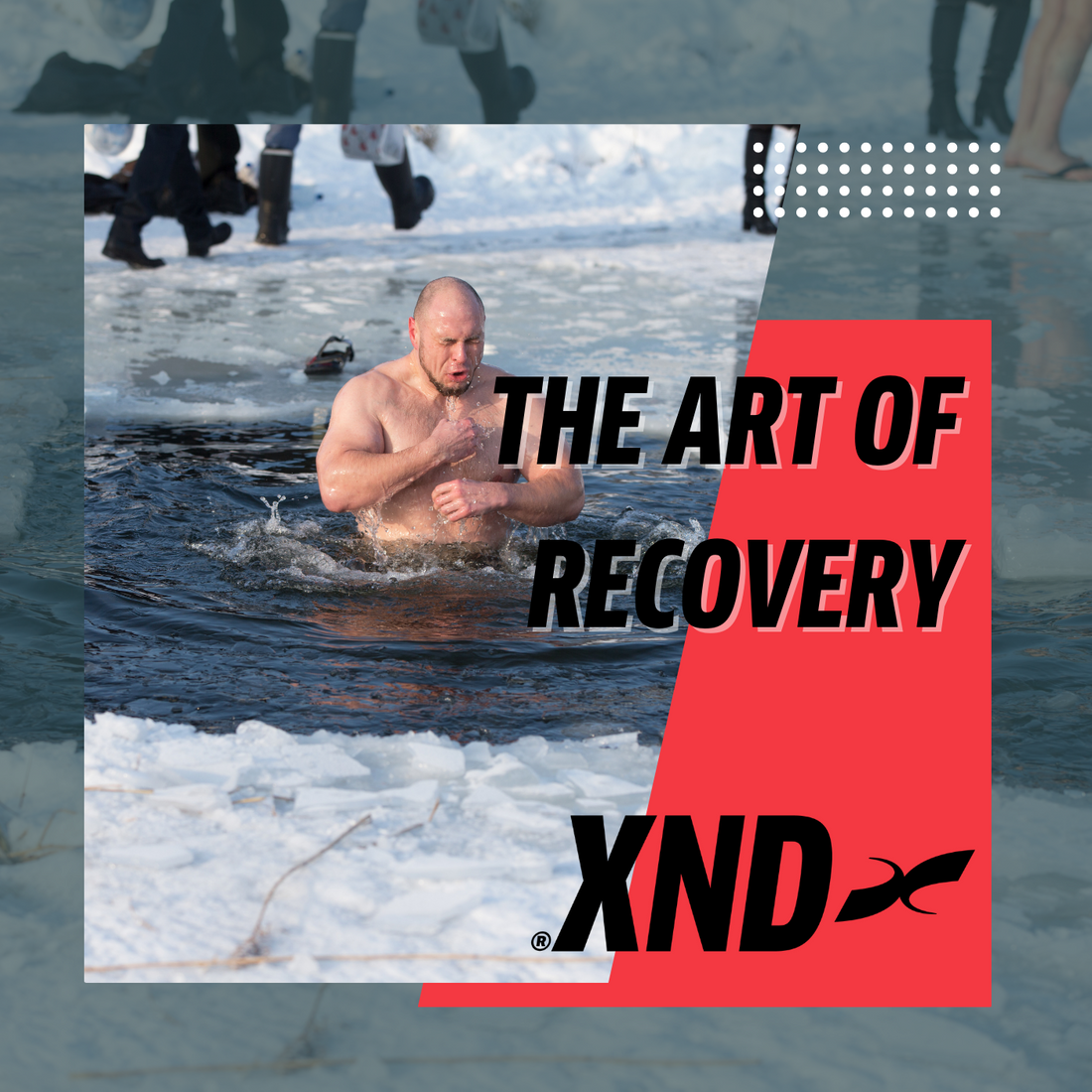 The art of recovery