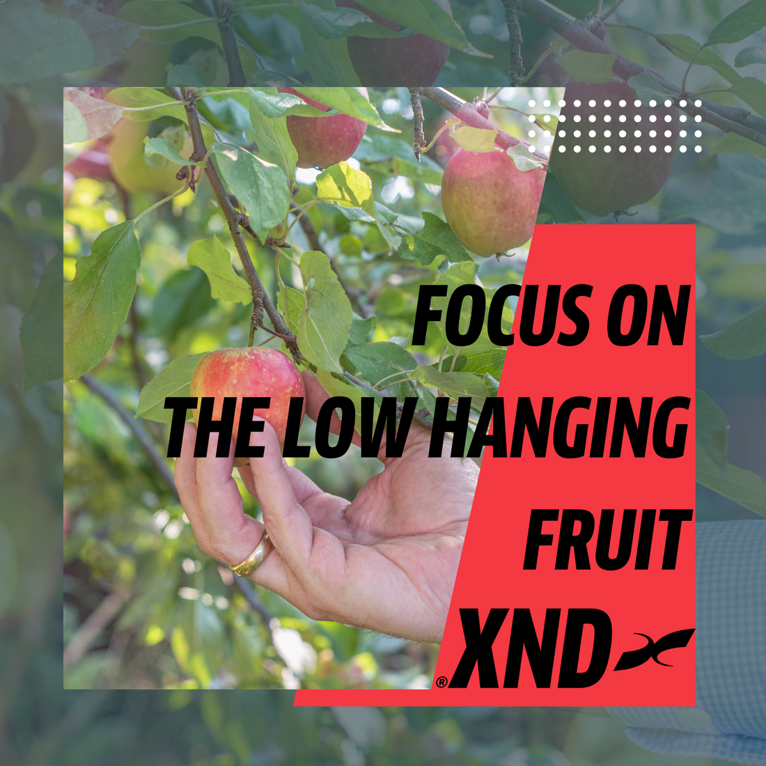 Focus on the low hanging fruit