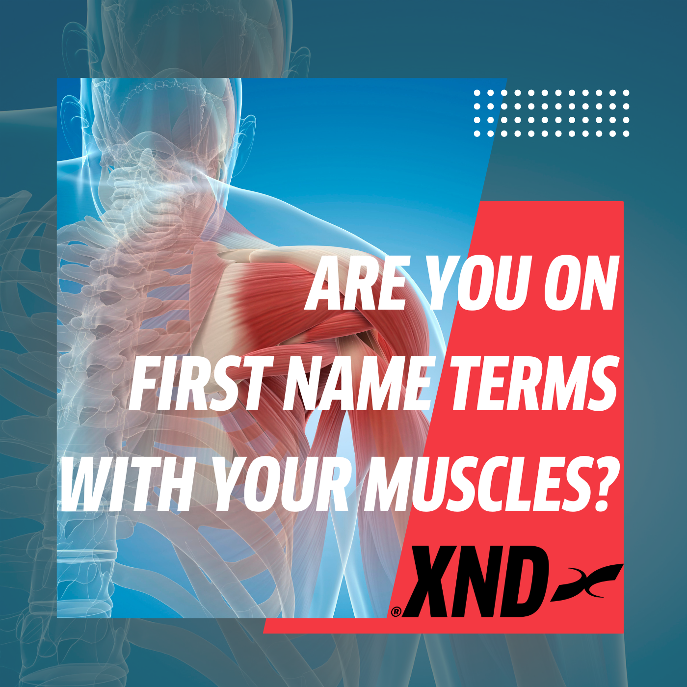 Are you on first name terms with your muscles?