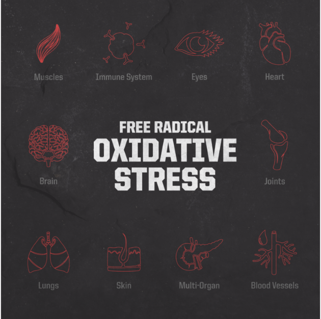Oxidative Stress: The Secret Killer