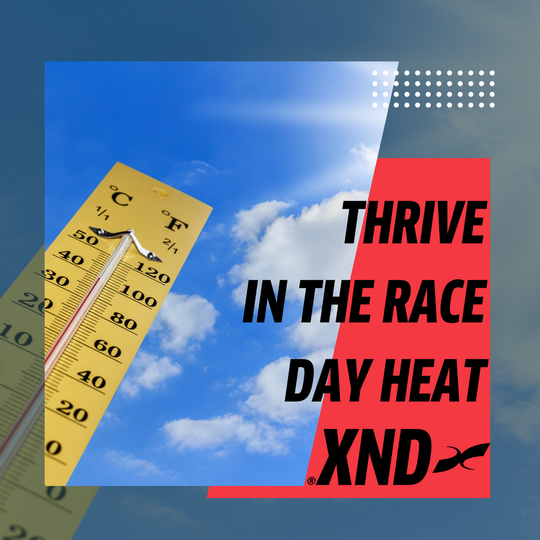Thrive in race day heat